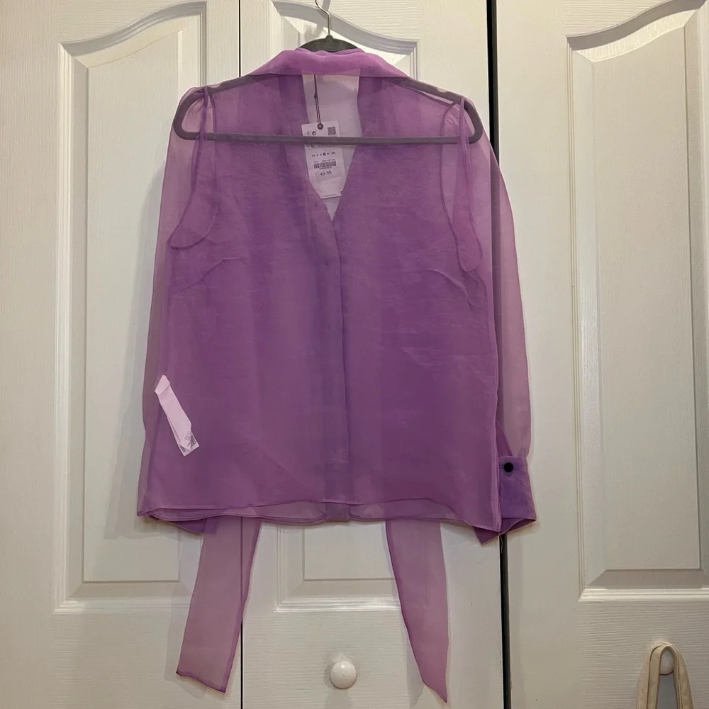 Zara Sheer Blouse with Bow- L - Picture 3 of 6